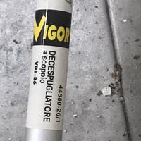 Decespugliatore
