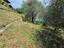Immagine 16