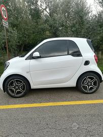 Smart 453 for two passion