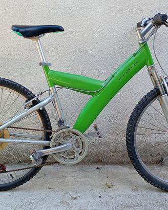 Bicicletta 