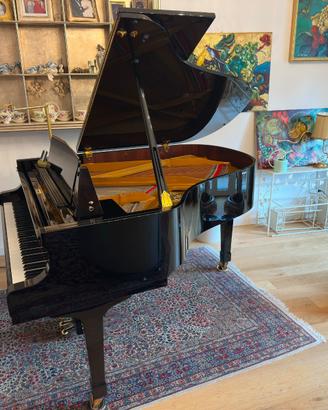 Petrof Breeze – Pianoforte a coda 2004