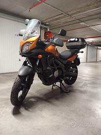 Suzuki V Strom  650 Abs Arancione marzo 2012
