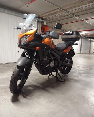 Suzuki V Strom  650 Abs Arancione marzo 2012