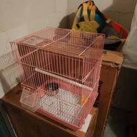 Gabbia uccelli