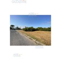 Terreno Agricolo Collesalvetti [A4287949]