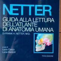 Netter, atlante medicina