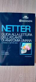 Netter, atlante medicina