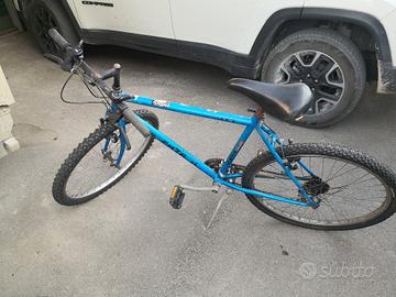 bicicletta 