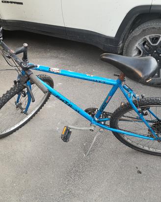bicicletta 