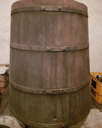 tino per mosto