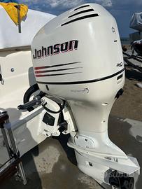 Johnson  150 v6