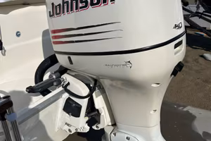 Johnson  150 v6