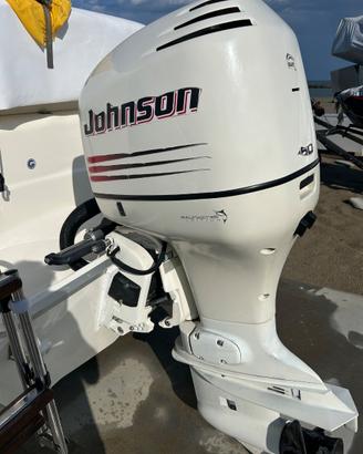 Johnson  150 v6