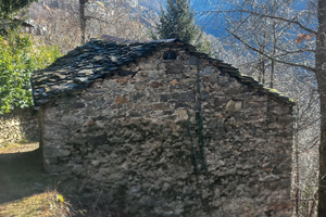 Grande rustico con terreno libero su quattro lati