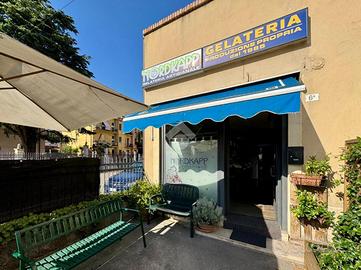ATTIVITÀ A VERONA