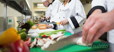 Commi lavapiatti tutto fare