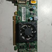 Scheda Grafica BD3A75 AMD Radeon HD7450