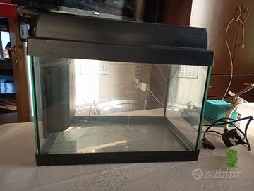 acquario 20 litri
