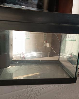 acquario 20 litri