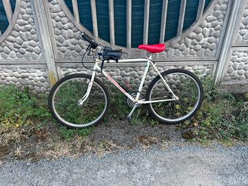 Bici bianchi