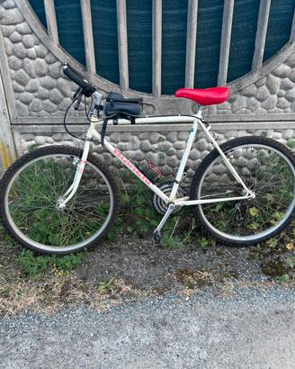 Bici bianchi