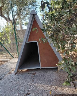 cuccia coibentata