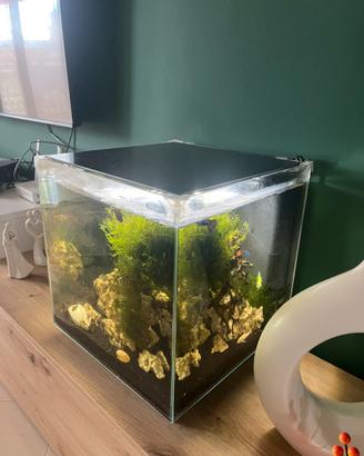 Acquario NEWA