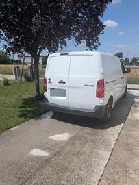 toyota procace 
