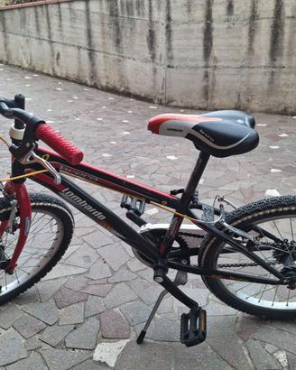 Bicicletta bambino