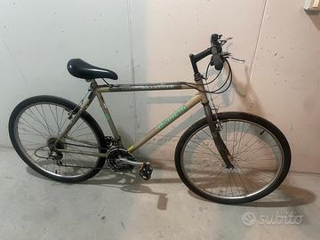 MTB Bianchi WHISTLER