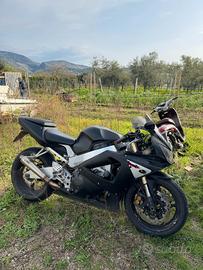 cbr 929 iscritta asi