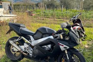 cbr 929 iscritta asi