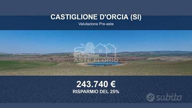 Immobile in asta di 508625 m² a Castiglione d'Orci