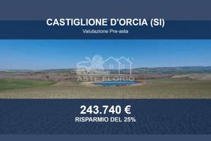 Immobile in asta di 508625 m² a Castiglione d'Orci