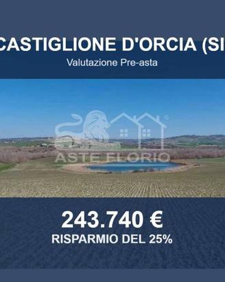 Immobile in asta di 508625 m² a Castiglione d'Orci