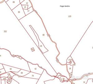 Terreno agricolo e boschivo