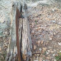 Taglia fieno antico con falcetto 