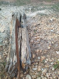 Taglia fieno antico con falcetto 