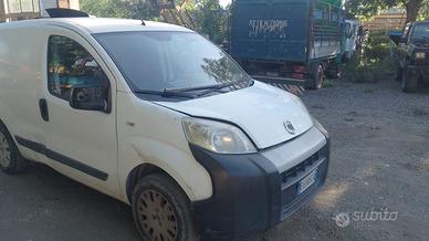 Fiorino