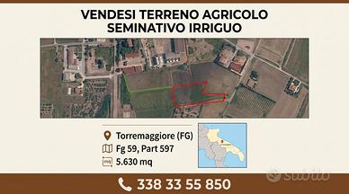 Torremaggiore (FG) - Terreno agricolo 5.630 mq