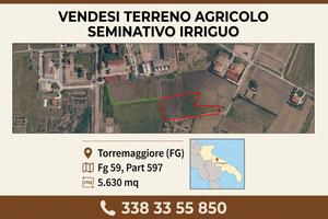 Torremaggiore (FG) - Terreno agricolo 5.630 mq