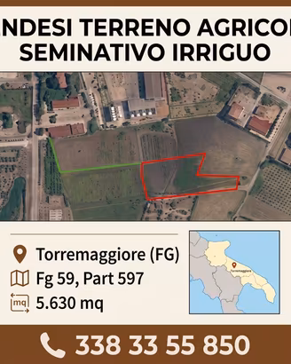 Torremaggiore (FG) - Terreno agricolo 5.630 mq