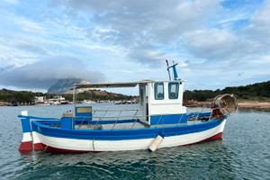 BARCA DA PESCA CON LICENZA 3gt