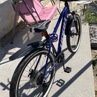 Bicicletta da montagna HORH