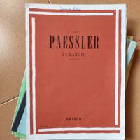 24 larghi Paessler