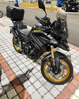 Voge Valico 525 DSX (2025)