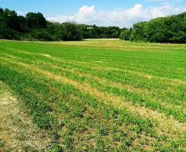 Terreno agricolo