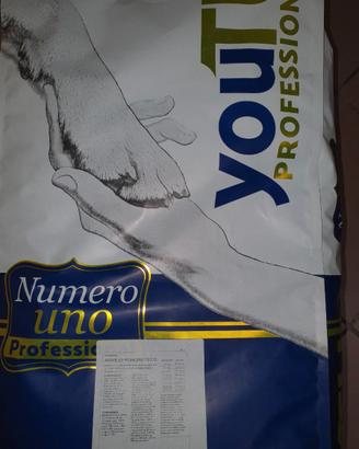 Secco per cani di media/grossa taglia
