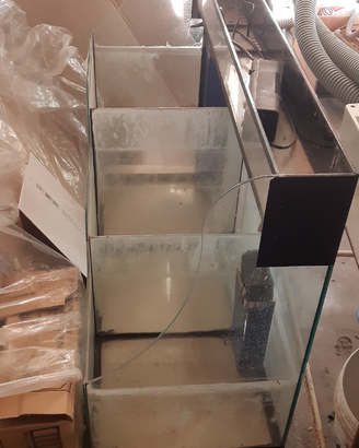 Acquario per piante