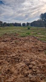 Trattativa riservata